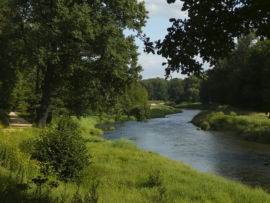 neiße, river, germany, poland, green, plant, tree, green color HD wallpaper
