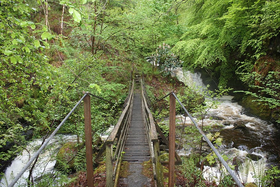 Bridge, Waterfall, Landscape, Wilderness, scenery, natural HD wallpaper