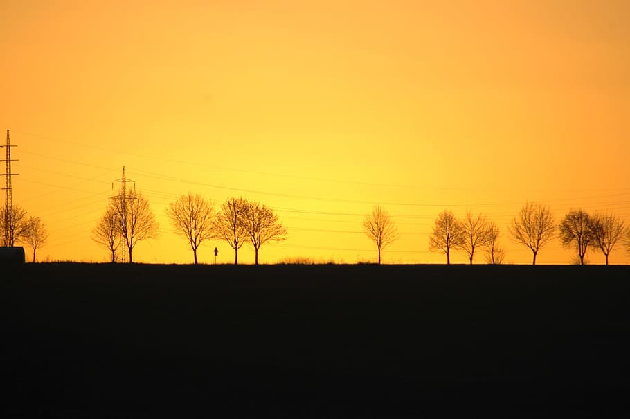 Sunset, Trees, Silhouettes, nature, back Lit, landscape, sky HD wallpaper