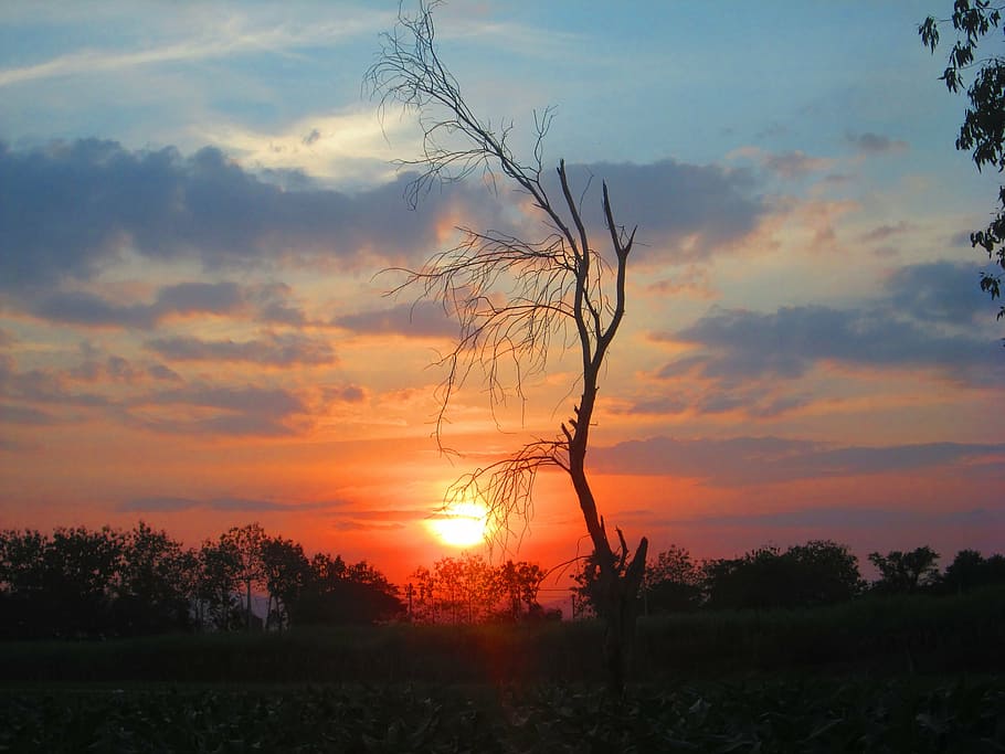 sun, evening, lord ah thi fall, sunset, sky, cloud - sky, beauty in nature HD wallpaper