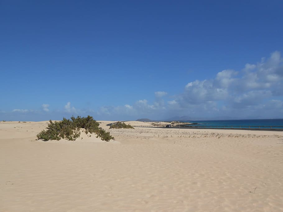 beach, sea, ocean, sand, paradise, sky, fine sand, horizon HD wallpaper