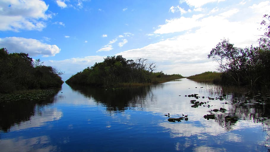 Page 2 | everglades 1080P, 2K, 4K, 5K HD wallpapers free download ...