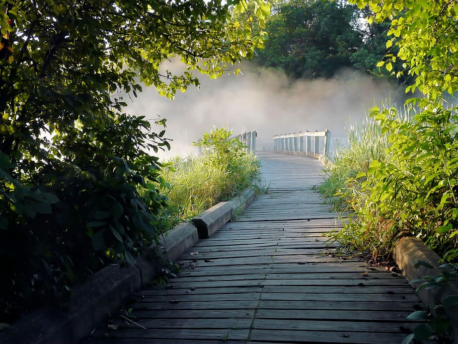 Fog on the wooden bridge walkway, boardwalk, photo, mist, outdoors, HD wallpaper