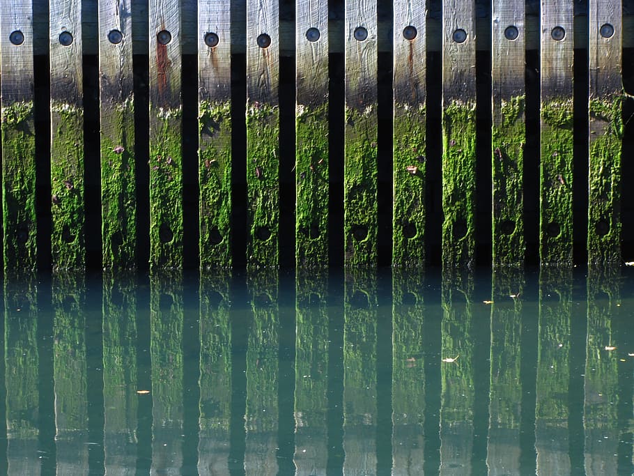 canal, algae, dock, no people, green color, pattern, close-up, HD wallpaper