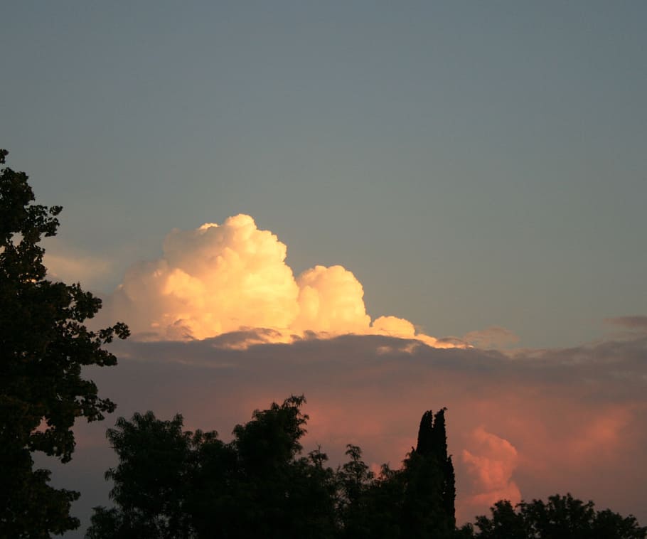 white cloud, tree silhouette, landscape, evening, sky, nature HD wallpaper