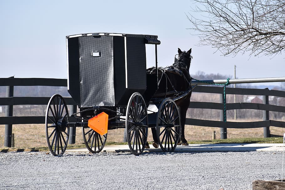 Amish Farm | Springtime in Amish country. | Cindy Cornett Seigle | Flickr