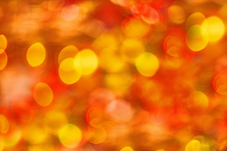 color, red, yellow, macro, close-up, color image, horizontal HD wallpaper
