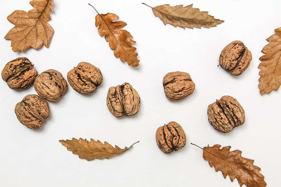 collection, dry, dry leaves, fall, nut, nutshell, seed, tasty HD wallpaper
