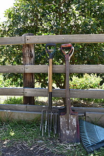 spade, shovel, farm tools, plant, day, nature, no people, wood - material HD wallpaper