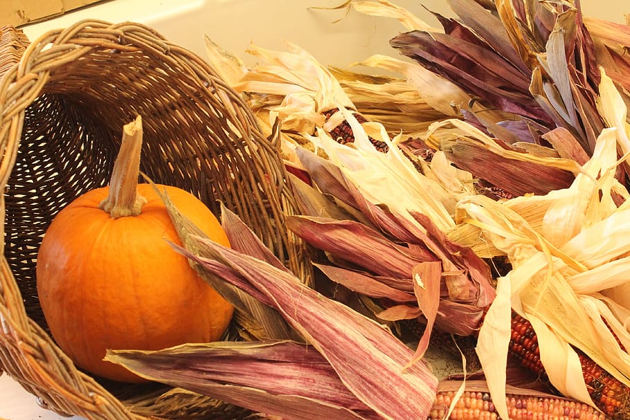 pumpkin on brown basket, Indian Corn, Fall, autumn, harvest, maize, HD wallpaper