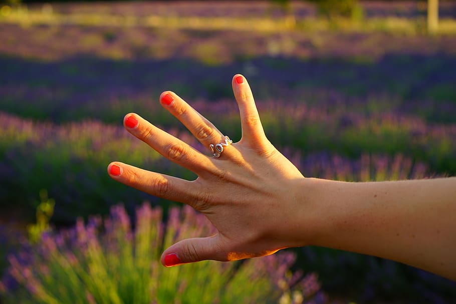 hand, finger, finger ring, love, painted red, lacquered, fingernails, HD wallpaper