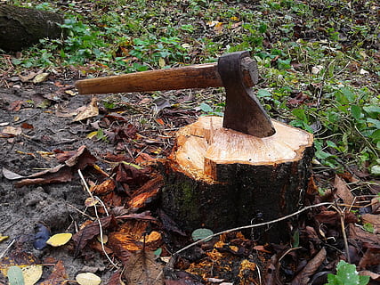brown and black axe on log, stump, tree, lumberjack, forest HD wallpaper