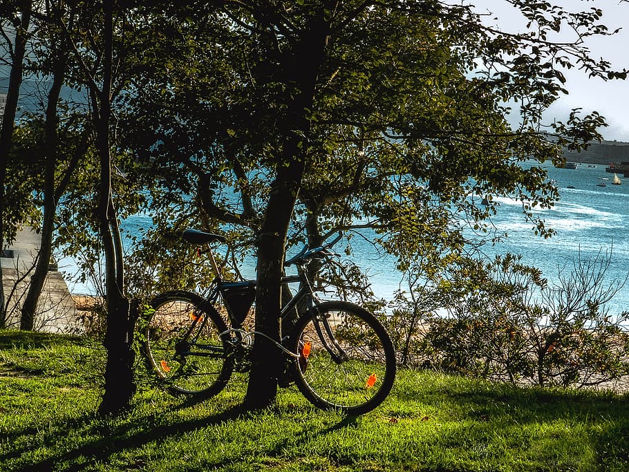 beach, rest, holiday, relax, peaceful, bicycle, coastal landscape HD wallpaper