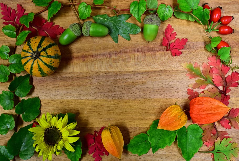 assorted-artificial vegetables on brown wooden surface, autumn HD wallpaper