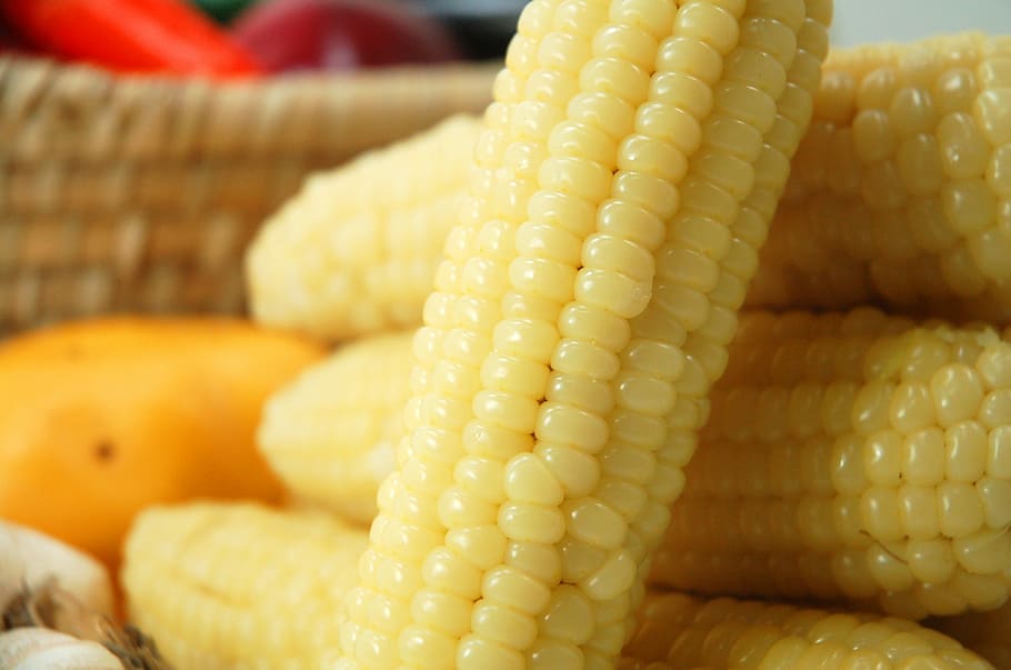 corn, grain, snack, food, eat, vegetables, food photography HD wallpaper