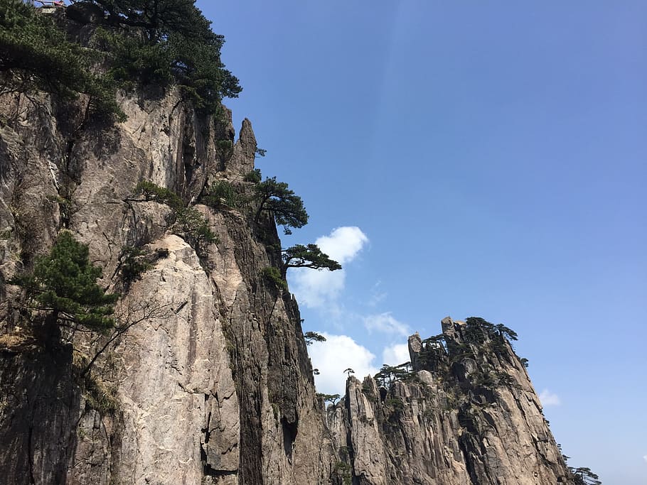 Huangshan, Pine, Pine, White, White Cloud, mountain, rock - object HD wallpaper