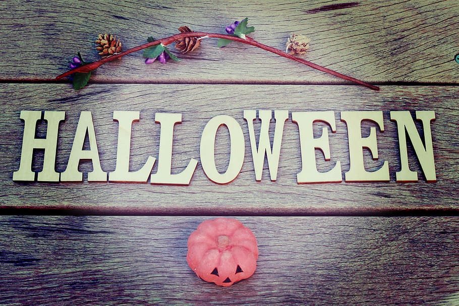 Halloween wood sign, wood - Material, single Word, celebration HD wallpaper