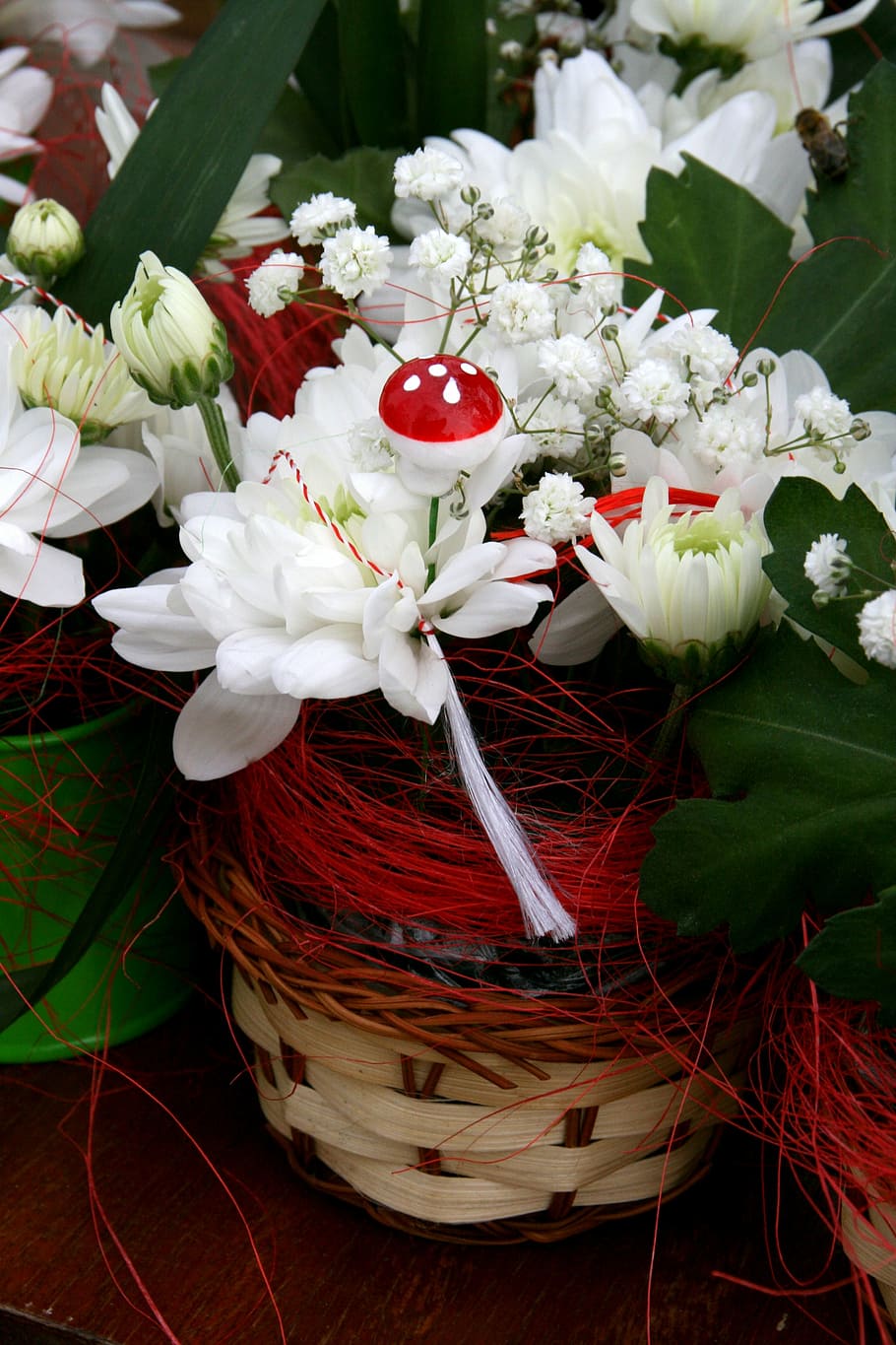 flower, mushroom, white, spring, flowering plant, freshness HD wallpaper