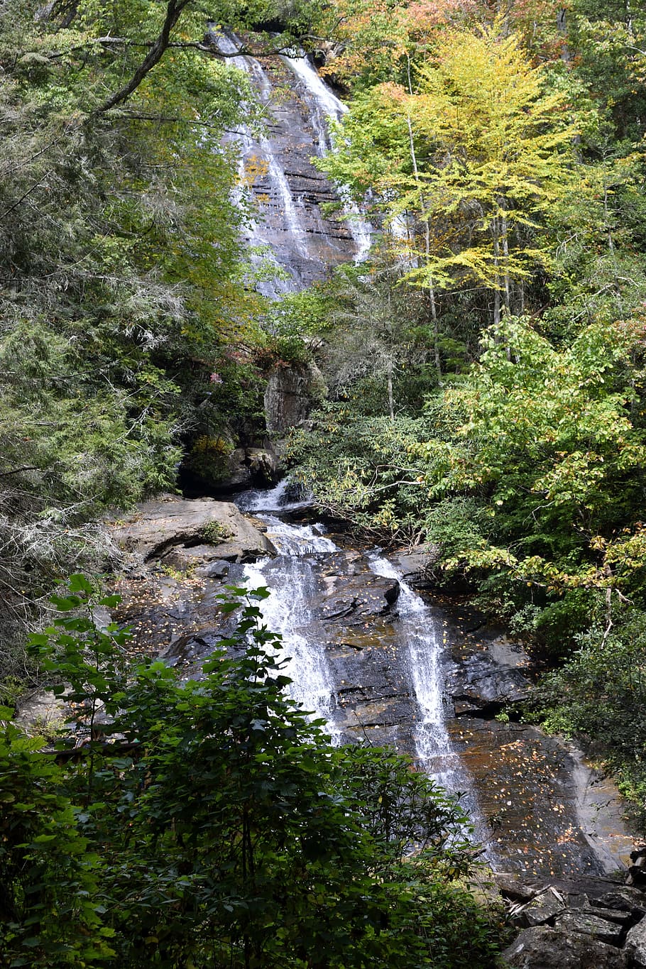 Anna Ruby Falls, Falls, Creek, Helen, Georgia, forest, landscape