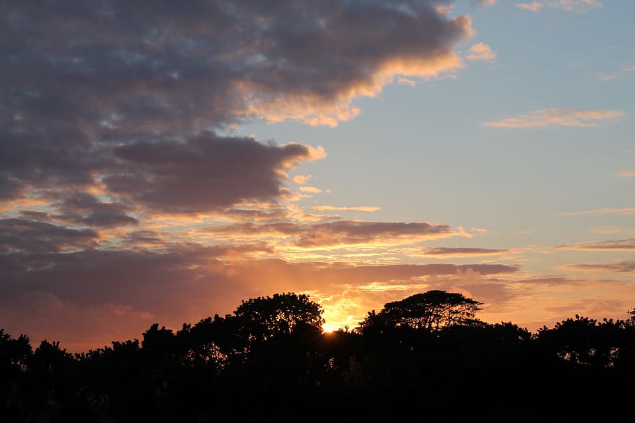 Sunset, Clouds, Trees, sky, silhouette, dramatic sky, dusk HD wallpaper