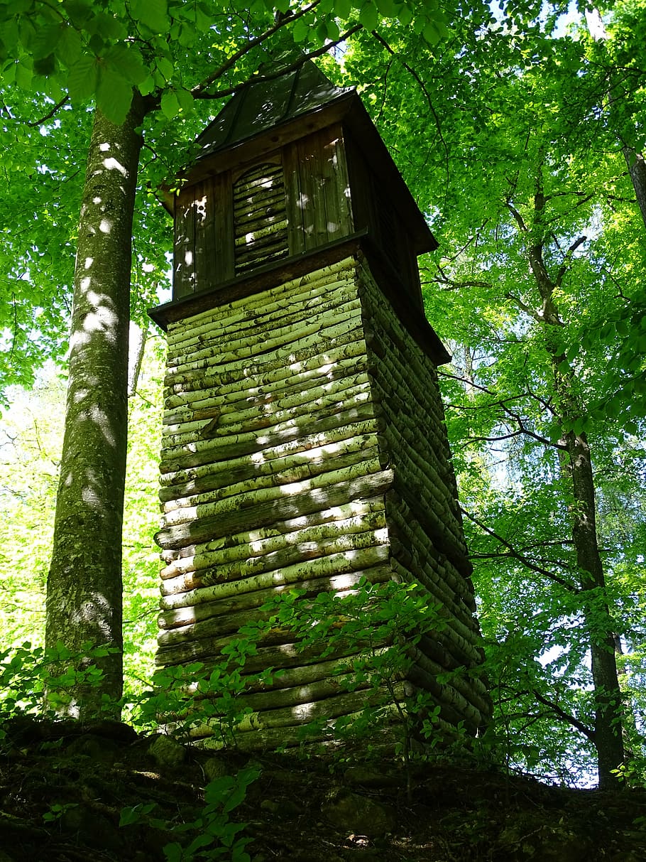 tower, green, forest, landscape, branches, tree, nature, outdoors HD wallpaper