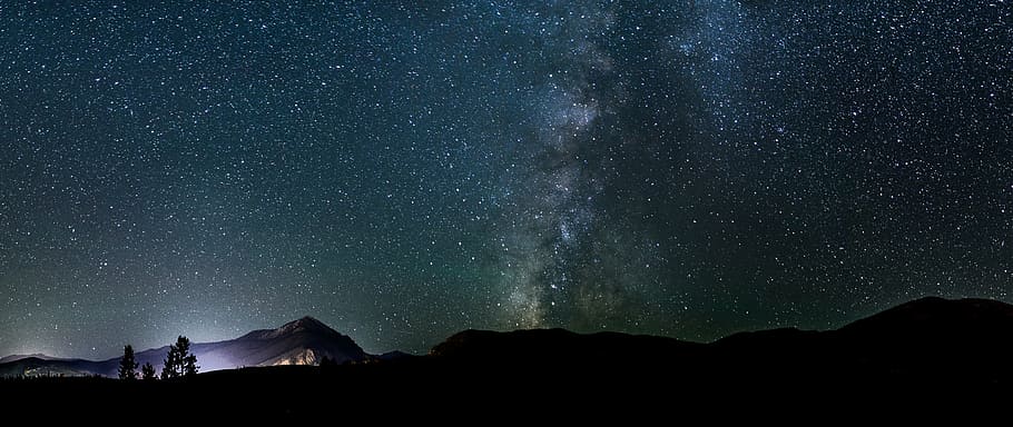 silhouette of trees and land under starry sky during nighttime HD wallpaper
