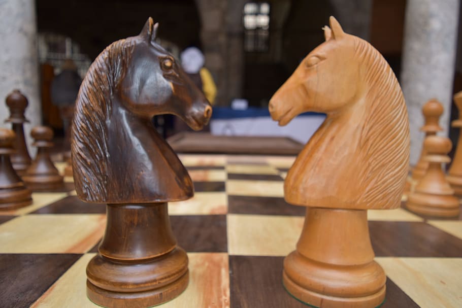 Horse, Games, Chess, wood - Material, competition, chess piece HD wallpaper