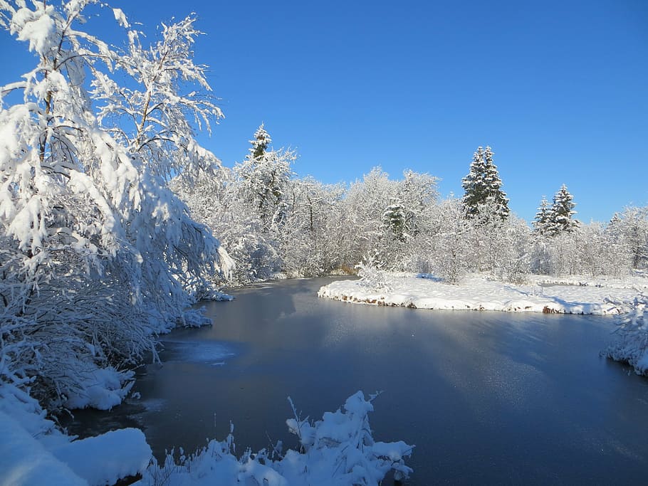 winter, ice, lake, moor, sky, bank, water, frozen, snow, waters HD wallpaper