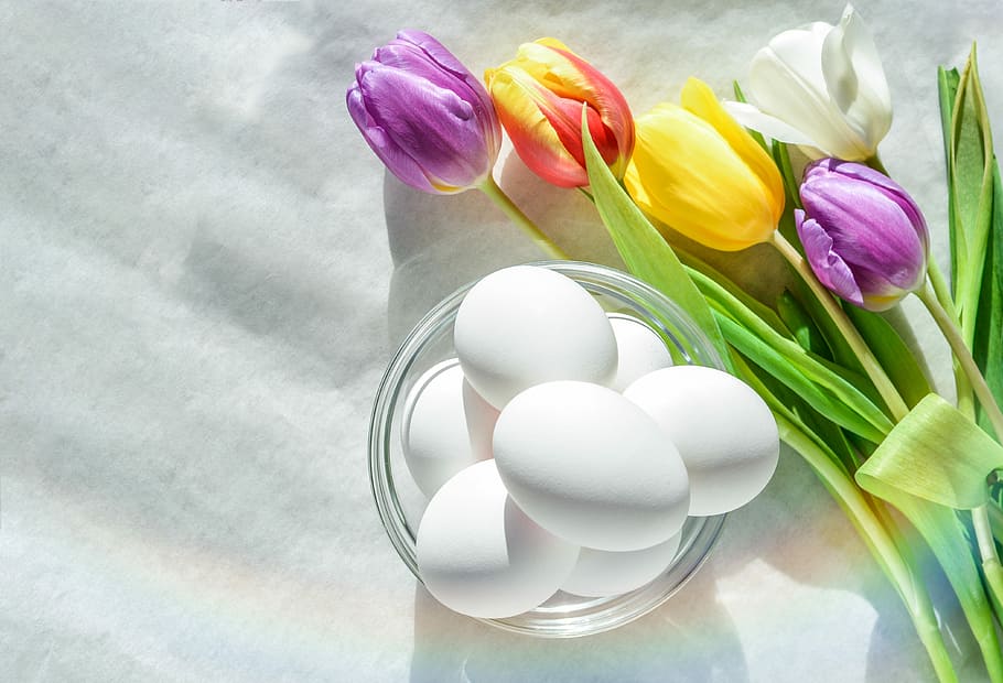 white eggs in clear bowl, flower, nature, easter, flora, floral HD wallpaper
