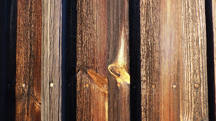 boards, pine, brown, wall, wood - material, no people, close-up HD wallpaper