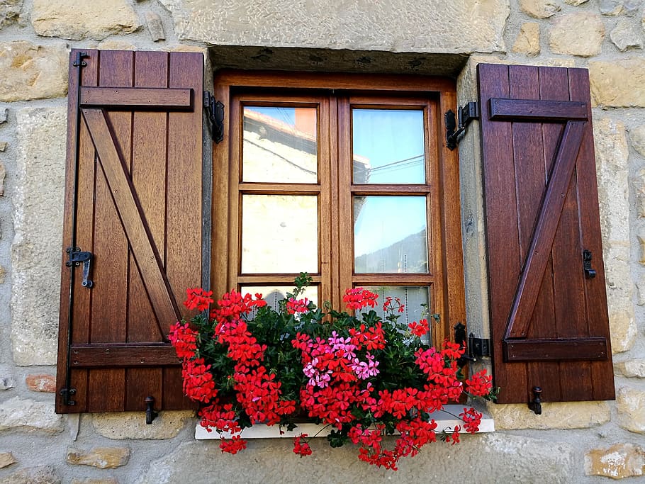 window, flowers, facade, garay, flowering plant, architecture HD wallpaper