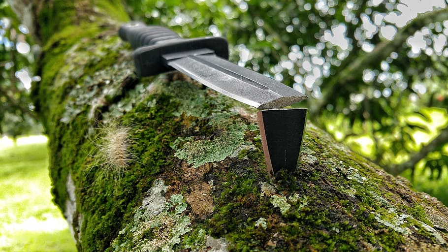 broken knife, blade, black, boot knife, moss, branch, bark HD wallpaper