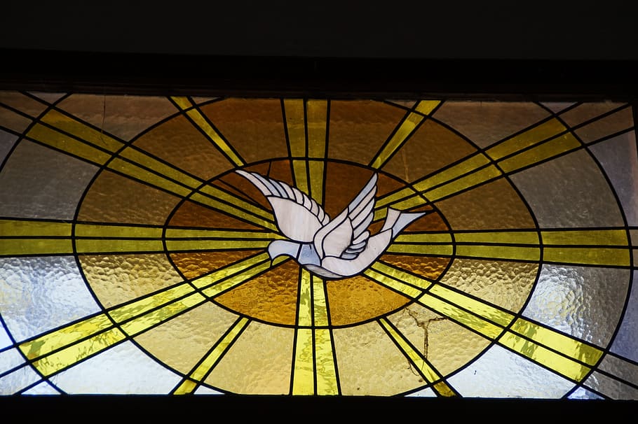 white dove stainglass decor, Holy Spirit, Church Window, stained glass, HD wallpaper
