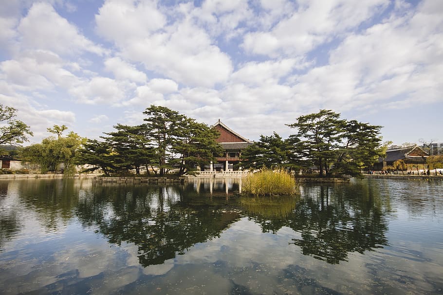 green trees planted near body of water, South Korea, Temple, Lake, HD wallpaper