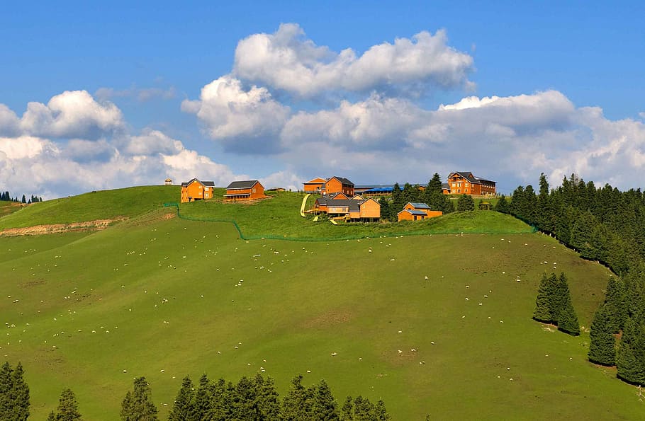 Blue Sky, White Cloud, Mountain, field, house, farm, agriculture HD wallpaper