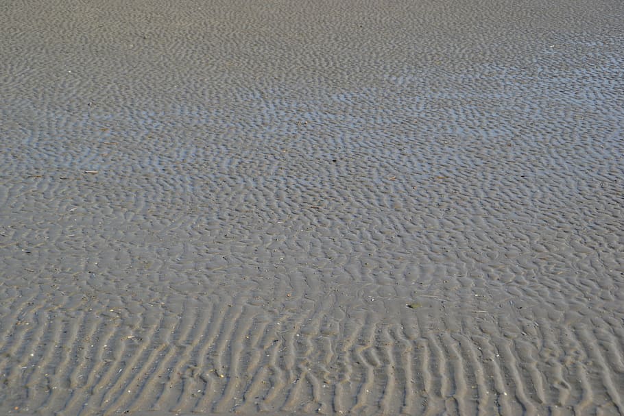 sand, ripple, sea, soil, sandy beach, texture, land, pattern HD wallpaper