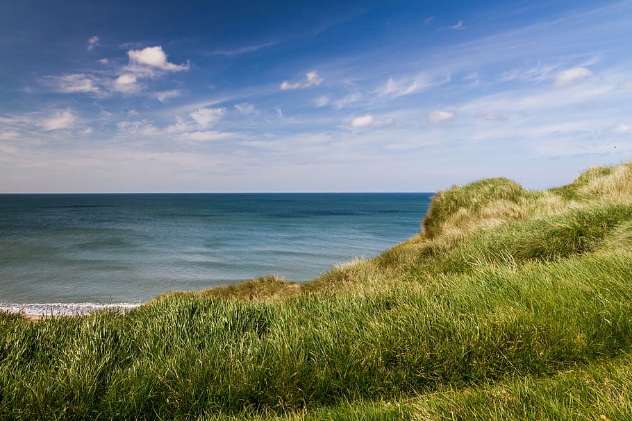 landscape photography on green grass near seashore during day time