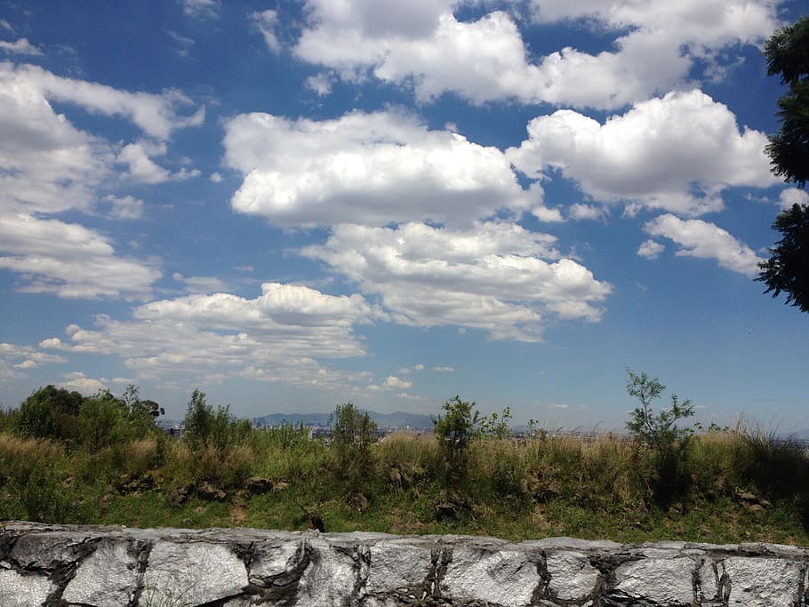landscape, mexico, clouds, nature, sky, cloud - sky, tree, plant HD wallpaper