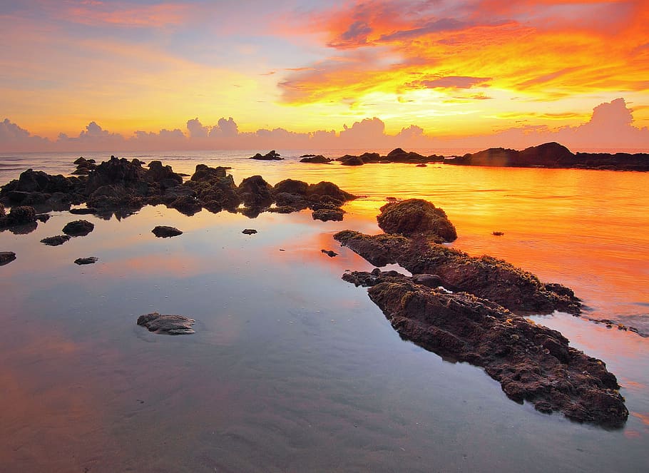 Seashore during Sunset, beach, dawn, dusk, nature, ocean, rocks HD wallpaper