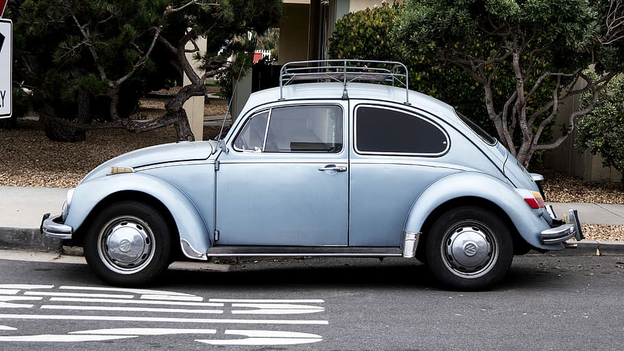 grey Volkswagen Beetle on road side beside trees at daytime, car HD wallpaper