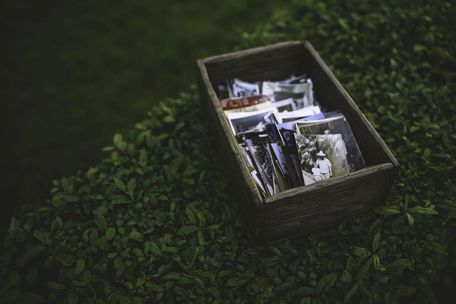 brown wooden box, old, vintage, retro, memories, nature, grass HD wallpaper