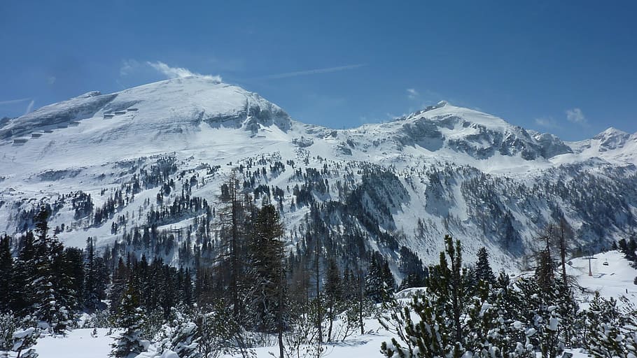 Winter, Landscape, Snow, mountain, nature, scenics, tree, outdoors HD wallpaper
