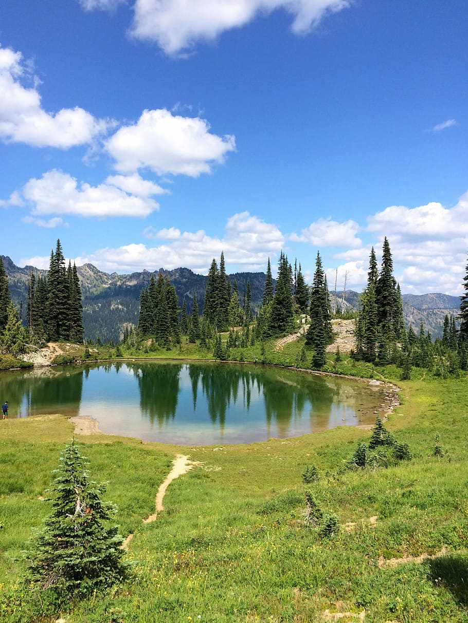 Pond and landscape under blue skies in Mount Rainier National Park, Washington