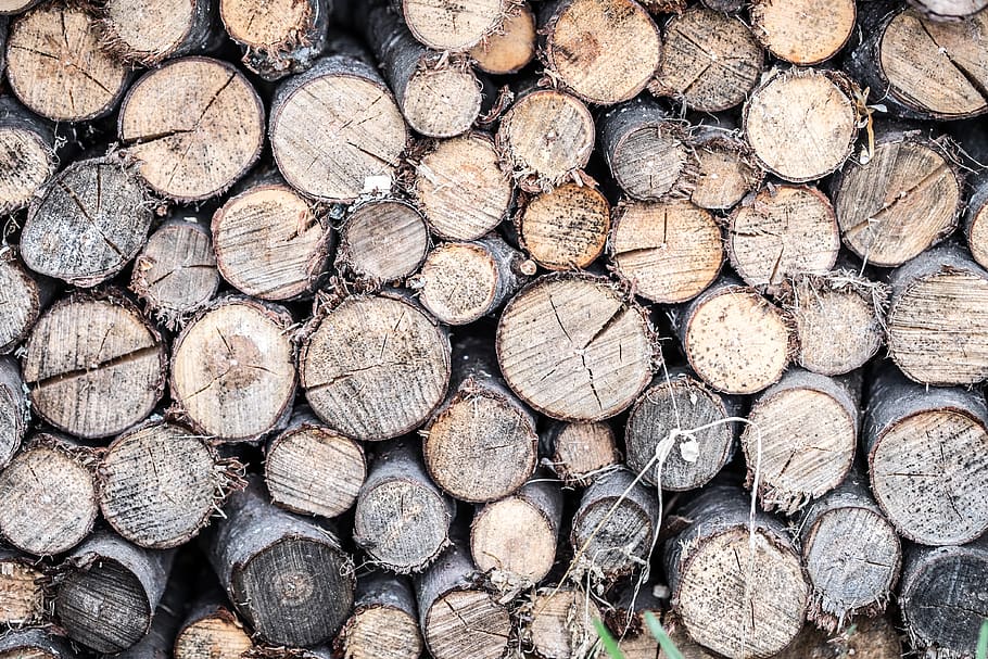 tree, logs, background, pile, circles, cut, hack, timber, full frame HD wallpaper
