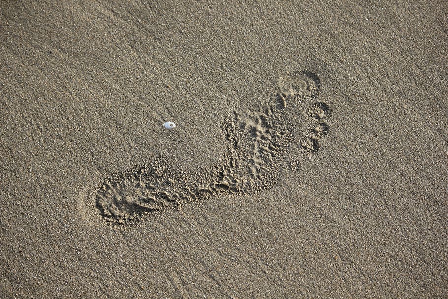 Footprint, Sand, Beach, Human, animal track, high angle view, HD wallpaper