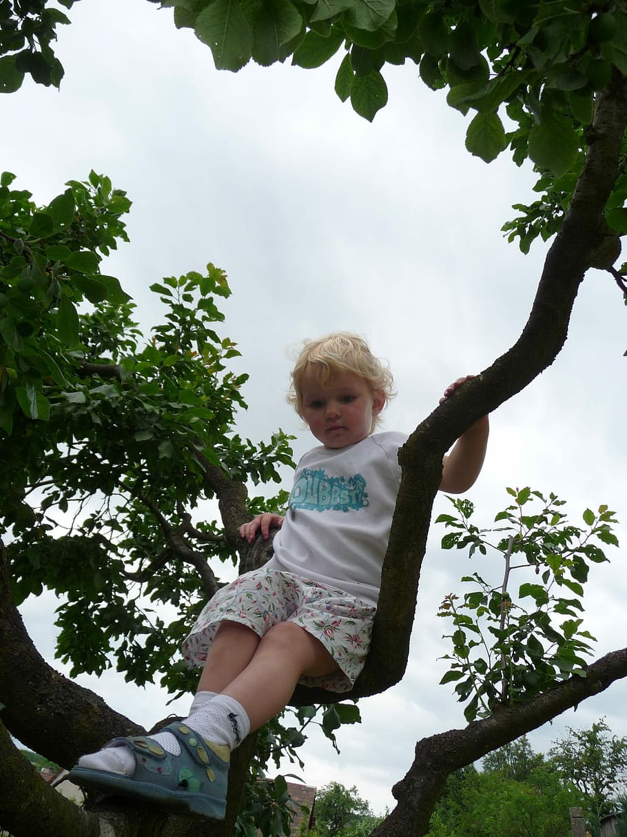 Child, Tree, Climb, Play, Garden, playground, movement, nature HD wallpaper