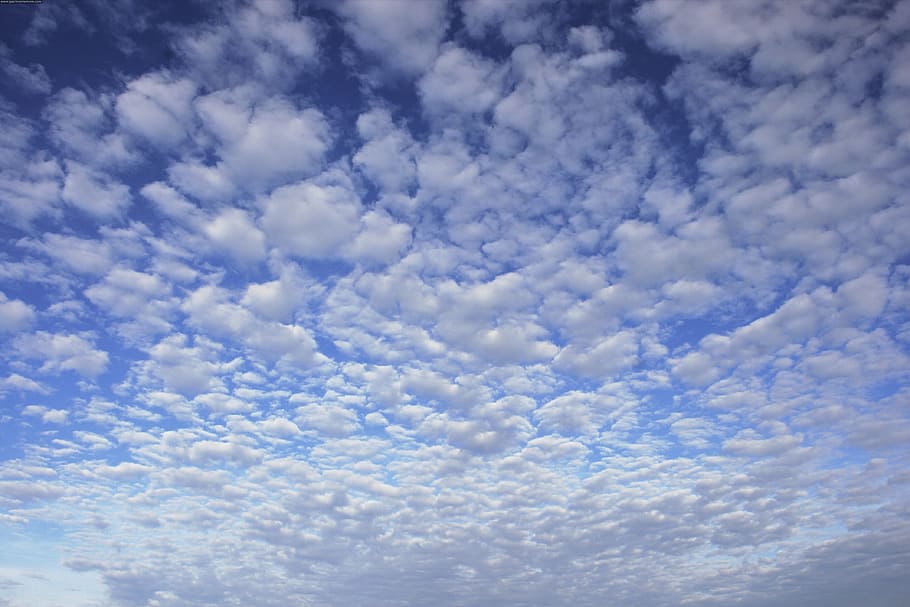 clouds, sky, white, cloud - sky, cloudscape, beauty in nature HD wallpaper