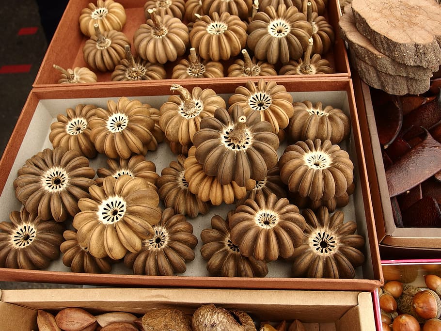 东势, newcomer that the section, seed, wood - Material, decoration HD wallpaper