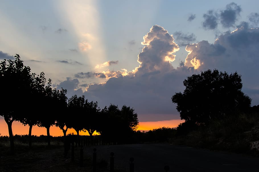 sunset, dawn, panoramic, nature, tree, sky, outdoors, landscape HD wallpaper