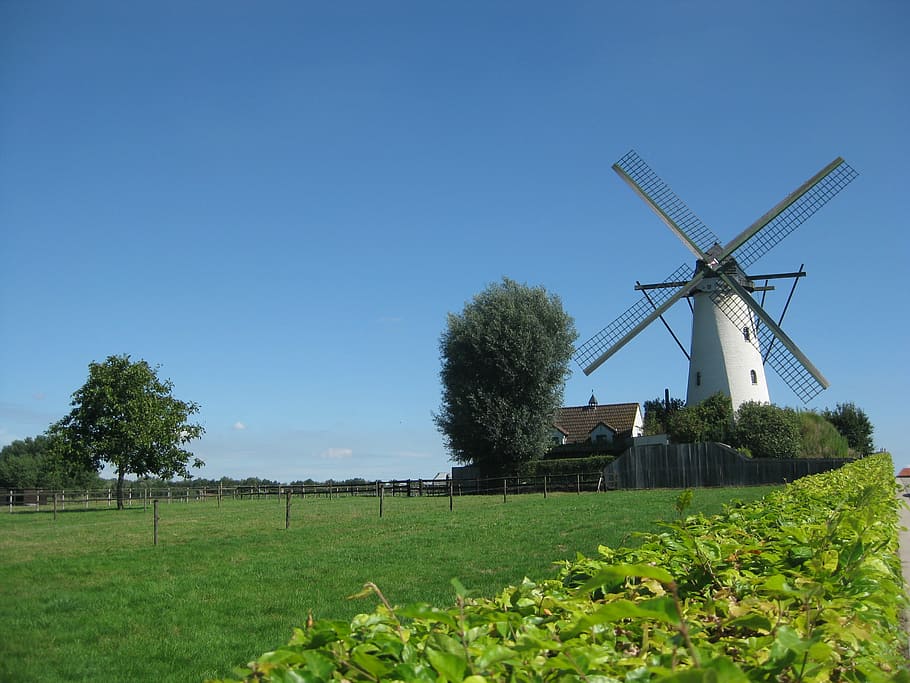 wind mill, nature, blue sky, fuel and power generation, plant HD wallpaper